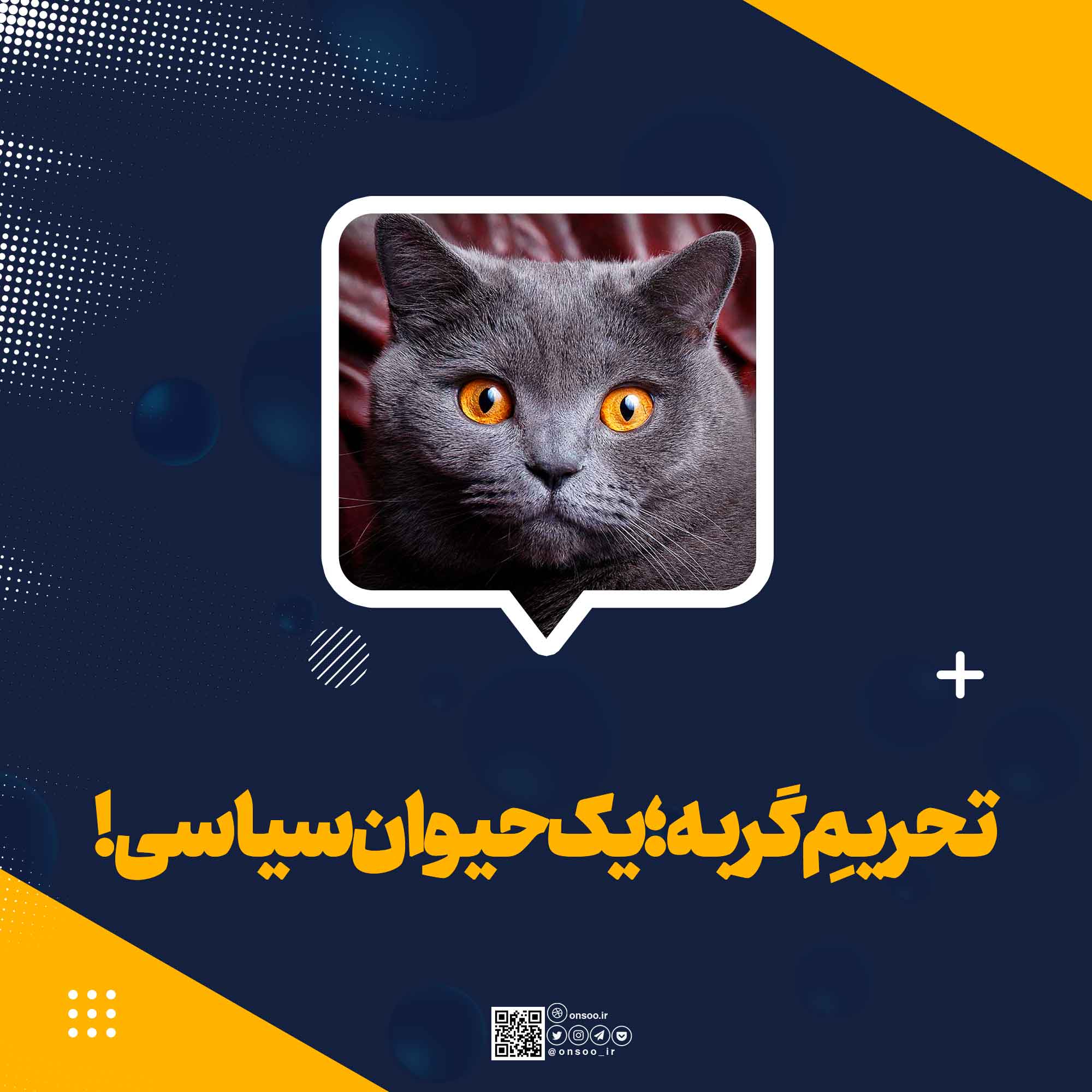 تحریم-گربه-یک-حیوان-سیاسی